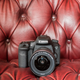 Illustration for article titled Canon 7D Mark II: The Best DSLR For Sports and Wildlife, But That's All